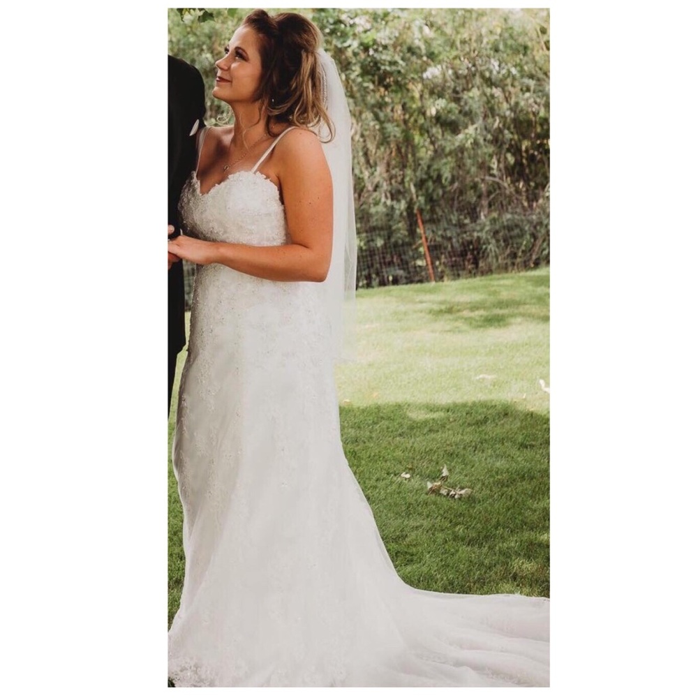 Wedding Dress and Veil